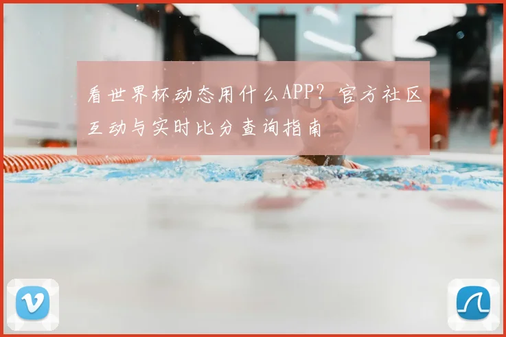 看世界杯动态用什么APP？官方社区互动与实时比分查询指南